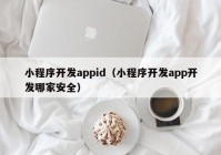 小程序开发appid（小程序开发app开发哪家安全）