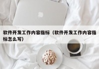 软件开发工作内容指标（软件开发工作内容指标怎么写）