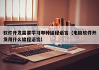 软件开发需要学习哪种编程语言（电脑软件开发用什么编程语言）