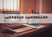 app开发用什么好（app开发用什么软件）