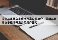 深圳三足鼎立小程序开发公司简介（深圳三足鼎立小程序开发公司简介图片）