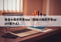 微信小程序开发app（微信小程序开发appid是什么）