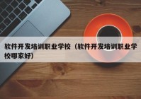 软件开发培训职业学校（软件开发培训职业学校哪家好）