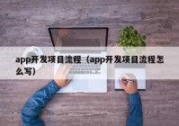 app开发项目流程（app开发项目流程怎么写）