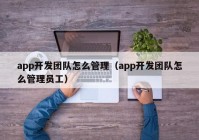 app开发团队怎么管理（app开发团队怎么管理员工）