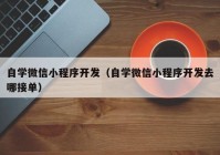 自学微信小程序开发（自学微信小程序开发去哪接单）