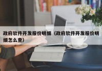 政府软件开发报价明细（政府软件开发报价明细怎么查）