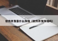 软件开发靠什么挣钱（软件开发挣钱吗）