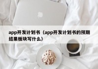 app开发计划书（app开发计划书的预期结果板块写什么）