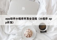 app软件小程序开发全流程（小程序 app开发）