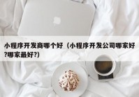 小程序开发商哪个好（小程序开发公司哪家好?哪家最好?）