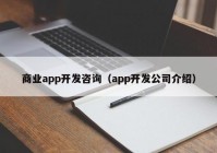 商业app开发咨询（app开发公司介绍）