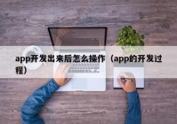 app开发出来后怎么操作（app的开发过程）