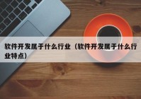 软件开发属于什么行业（软件开发属于什么行业特点）