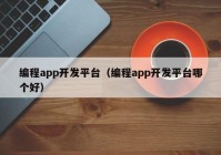 编程app开发平台（编程app开发平台哪个好）