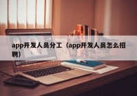 app开发人员分工（app开发人员怎么招聘）