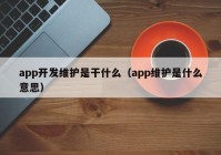 app开发维护是干什么（app维护是什么意思）