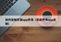 软件定制开发app开发（系统开发app定制）