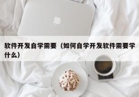 软件开发自学需要（如何自学开发软件需要学什么）