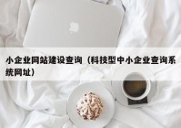 小企业网站建设查询（科技型中小企业查询系统网址）