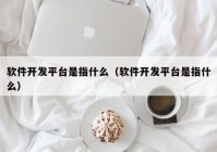 软件开发平台是指什么（软件开发平台是指什么）