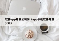 软件app开发公司海（app手机软件开发公司）